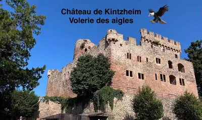 Plan de l'établissement Gîte Les Lilas, centre Alsace, avec jacuzzi