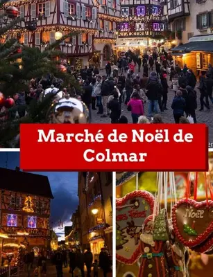 Plan de l'établissement La petite venise