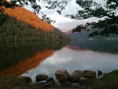 Paysage naturel près de l'appartement
