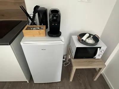 Cuisine ou kitchenette dans l'établissement La colmarienne