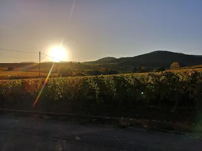 Paysage naturel près de l'appartement