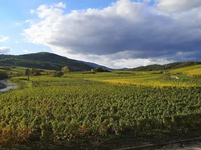 Paysage naturel près de l'appartement