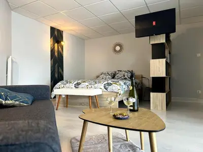 Télévision ou salle de divertissement dans l'établissement Le Refuge des 3M