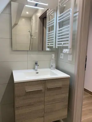 Salle de bains dans l'établissement Gite Clair de Lune à Beblenheim 3 pers parking