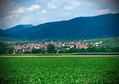 Paysage naturel près de l'appartement