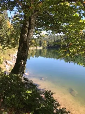 Paysage naturel près de l'appartement