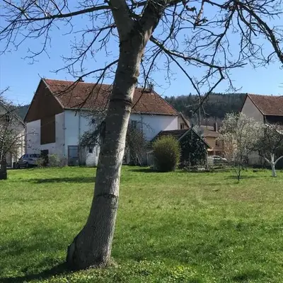 Domaine La Bonne Dame - Merle