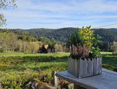 Paysage naturel près de le B&B/chambre d'hôtes