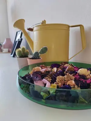 Nourriture dans l'appartement ou à proximité
