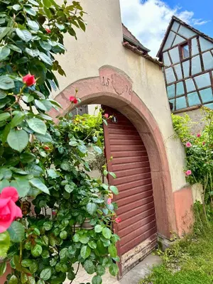 Jardin de l'établissement Sweet home Kaysersberg