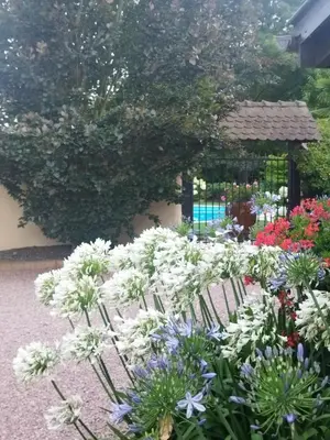 Jardin de l'établissement Les Hortensias