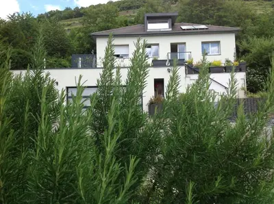 Jardin de l'établissement Gîte EMOZIONE
