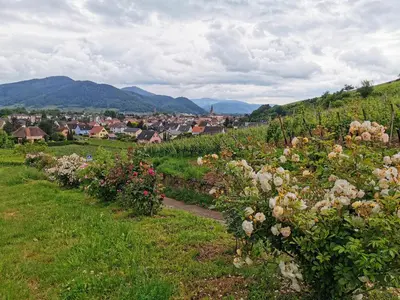 Paysage naturel près de l'appartement