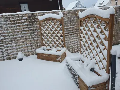 L'établissement Studio Les Deux Grenouilles 5mn de Colmar en hiver