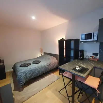 Studio Les Deux Grenouilles 5mn de Colmar