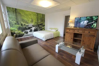 Télévision ou salle de divertissement dans l'établissement L'Appartement - Cœur de Riquewihr - 2 à 4 personnes