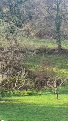 Paysage naturel près de l'appartement