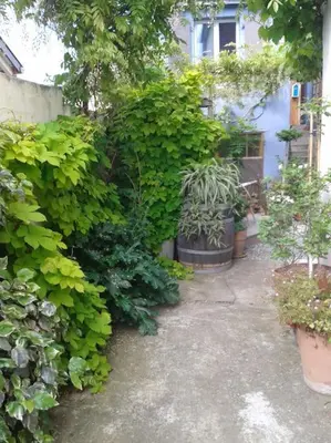 Jardin de l'établissement Logement indépendant
