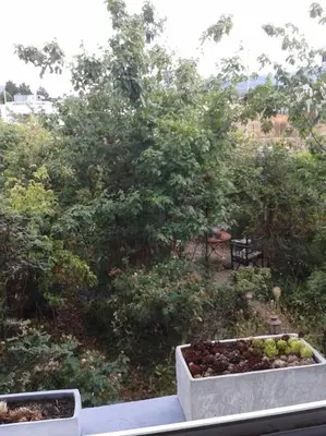 Jardin de l'établissement Logement indépendant