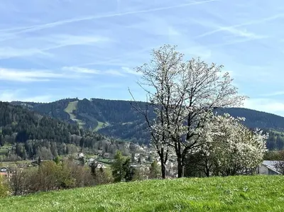 Paysage naturel près de l'appartement