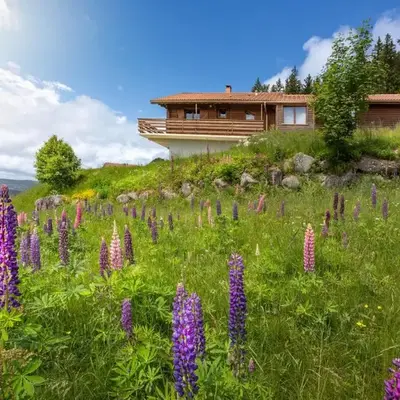 Chalet Dyna
