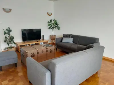 Télévision ou salle de divertissement dans l'établissement Appartement proche du Coeur de Colmar et de la gare