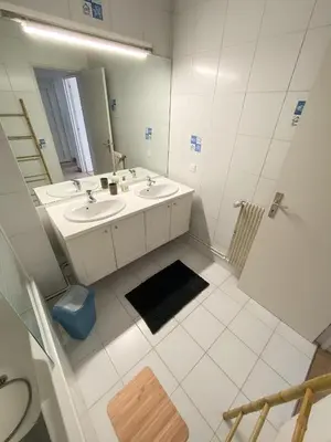 Salle de bains dans l'établissement Appartement proche du Coeur de Colmar et de la gare