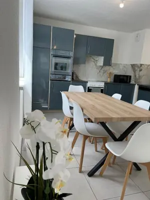Cuisine ou kitchenette dans l'établissement Appartement AN-Lux