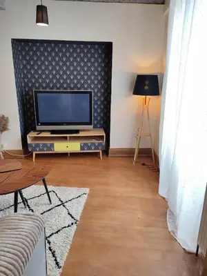 Télévision ou salle de divertissement dans l'établissement Beau trois pièces au centre de Sélestat centre