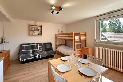 Télévision ou salle de divertissement dans l'établissement Le Nid des Vosges - Appt vue montagne