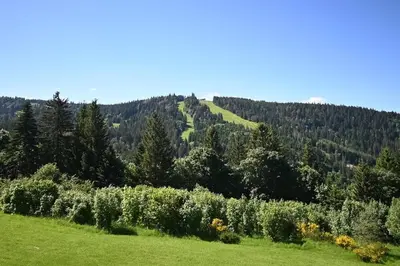 Paysage naturel près de l'appartement