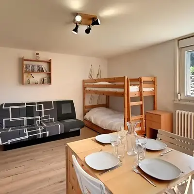 Le Nid des Vosges - Appt vue montagne