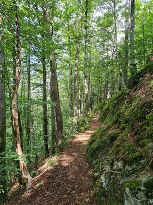 Paysage naturel près de la maison de vacances