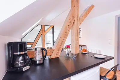 Cuisine ou kitchenette dans l'établissement Appartements Les Vosges