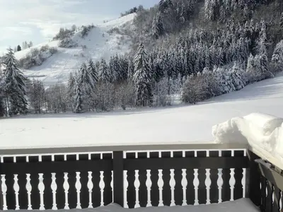 L'établissement La Bresse Hautes Vosges Chalet 2 à 6 personnes en hiver