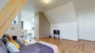 Télévision ou salle de divertissement dans l'établissement Le nid perché Mulhouse