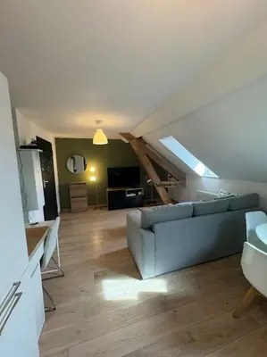 Télévision ou salle de divertissement dans l'établissement Le Petit Nid de Colmar - Parking privé