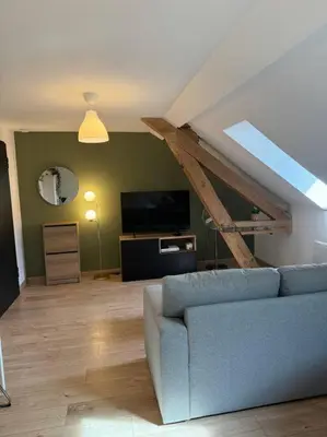 Télévision ou salle de divertissement dans l'établissement Le Petit Nid de Colmar - Parking privé