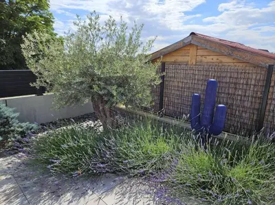 Jardin de l'établissement Villa de l'Elbe proche Europapark en Alsace