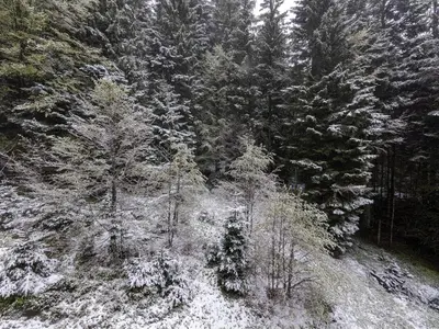 L'établissement Refuge AuRoiSud en hiver