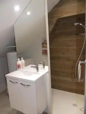 Salle de bains dans l'établissement LE MASSIF - Appartement au sommet avec vue panoramique