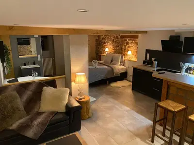 Télévision ou salle de divertissement dans l'établissement Gîte le Chaudron