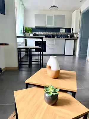 Cuisine ou kitchenette dans l'établissement Prix Malin Joli T2 en RDC