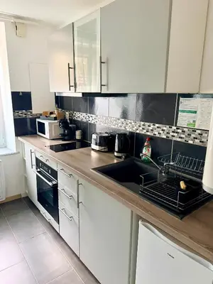 Cuisine ou kitchenette dans l'établissement Prix Malin Joli T2 en RDC