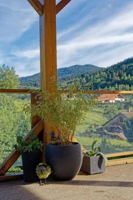 Vue générale sur la montagne ou vue sur la montagne depuis l'hôtel
