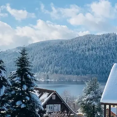 Duplex dans chalet avec superbe vue lac et piscine commune