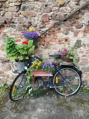 Vélo sur le terrain de l'établissement Gîte cosy 2 personnes en Alsace ou dans les environs