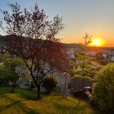 Gîte les Rosiers du Blosen