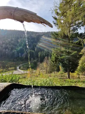 Paysage naturel près de la maison de vacances