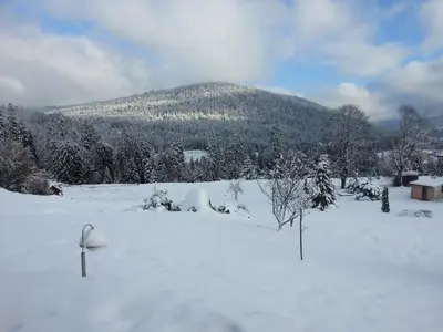 L'établissement B&B Chalet l'Epinette en hiver